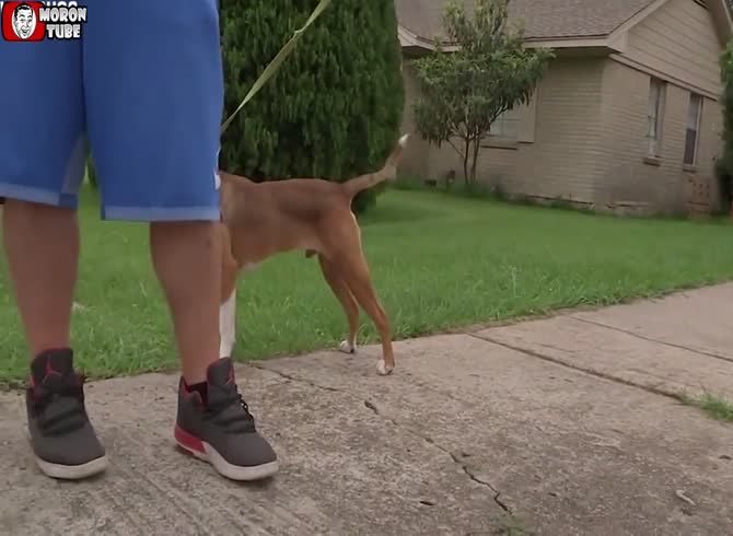 Video :She accidently shoots her 5-year-old kid while attempting to shoot a dog